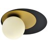 Forma Plafonska lampa F4015-1C BK+SG