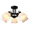 Forma Plafonska lampa F4030-5C BK