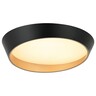 Forma LED plafonska lampa F2098-75C BK+SG
