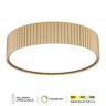Forma LED plafonska lampa F2095-76P SG