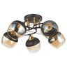 Forma Plafonska lampa MD2741-5 BK+SG