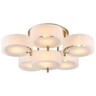 Forma Plafonska lampa F7030-6C SG