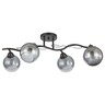 Forma Plafonska lampa MD2745-4 BK+CH