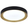 Forma LED plafonjera LP-405-54R BK+SG