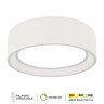 Forma LED plafonska lampa F2096-51C WH