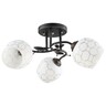 Forma Plafonska lampa MD2729-3 BK