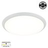 Forma LED plafonjera LP-702-24