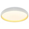 Forma LED plafonjera LP-424-48R WH+SG