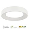 Forma LED plafonska lampa F2096-67C WH
