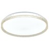 Forma LED plafonjera LP-419-54R AM