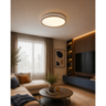 Forma LED plafonjera LP-427-70R WH+GD
