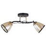 Forma Plafonska lampa MD2740-2 BK+GD