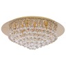 Forma Plafonska lampa F9003-9C GD