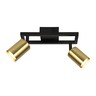 Forma Plafonska lampa FG153-2 BK +SG