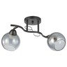Forma Plafonska lampa MD2745-2 BK+CH