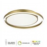 Forma LED plafonska lampa F2071-40C SG