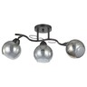 Forma Plafonska lampa MD2745-3 BK+CH