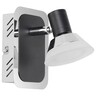 Forma LED spot lampa LS100-1 CH+BK