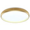 Forma LED plafonjera LP-424-48R SG