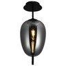 Forma Plafonska lampa F4014-1C BK+SM