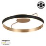 Forma LED plafonska lampa F2088-46C BK+RG CCT